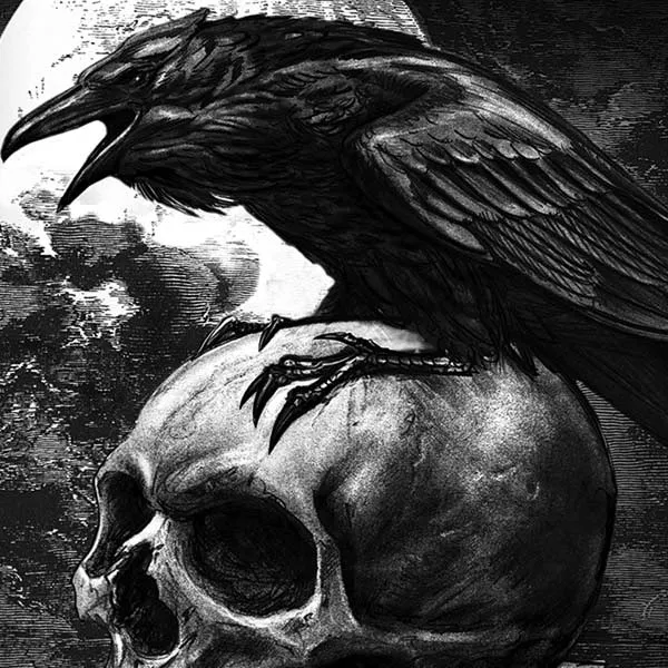 Alchemy Carta Poe's Raven Moto E5 Play Skin