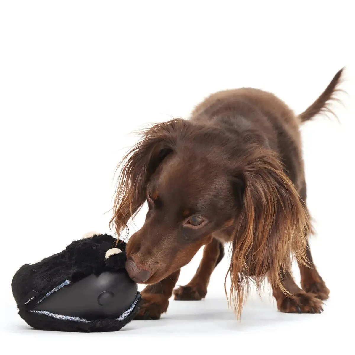 BARK Super Chewer Black Bear Bones Dog Chew Toy