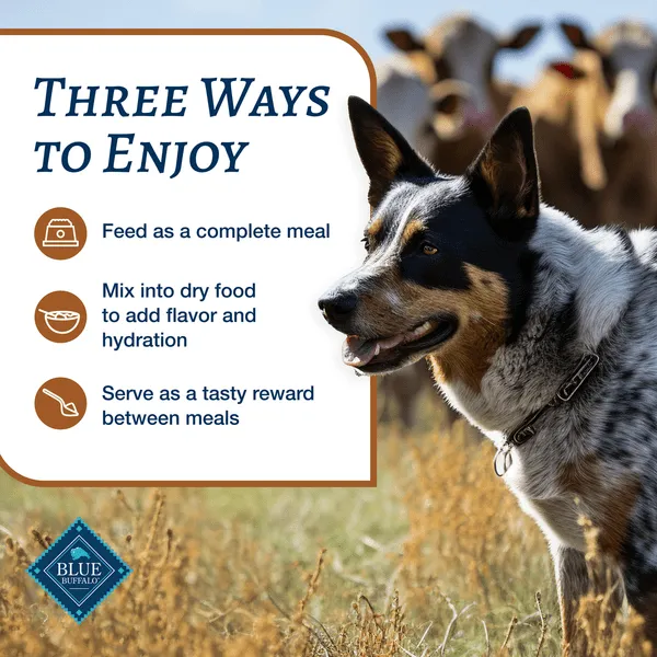 BLUE Family Favorite Recipes Turkey Day Feast Canned Dog Food