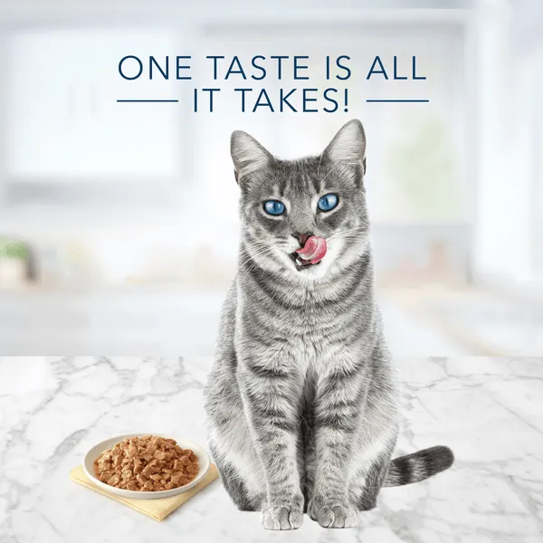 BLUE Tastefuls Flaked Chicken Entree in Gravy Canned Cat Food