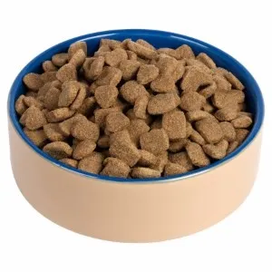 Chappie - Complete Beef & Wholegrain - 15kg