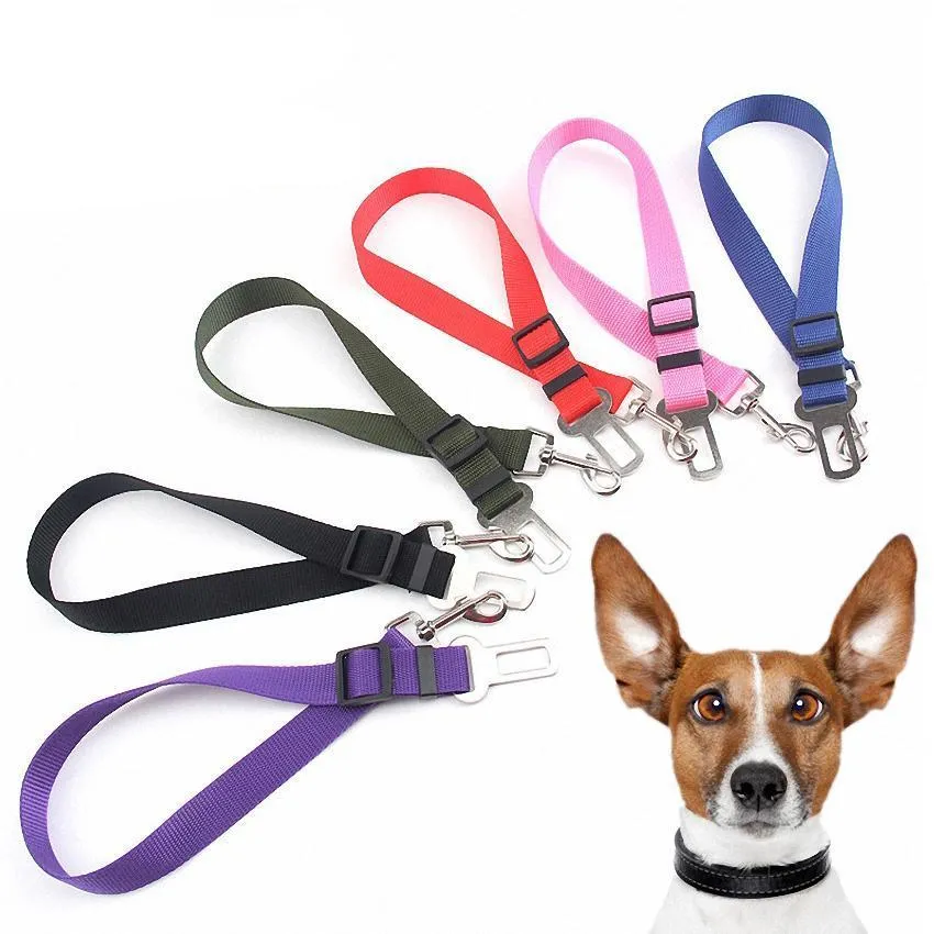 Dog Safety Seat Belt