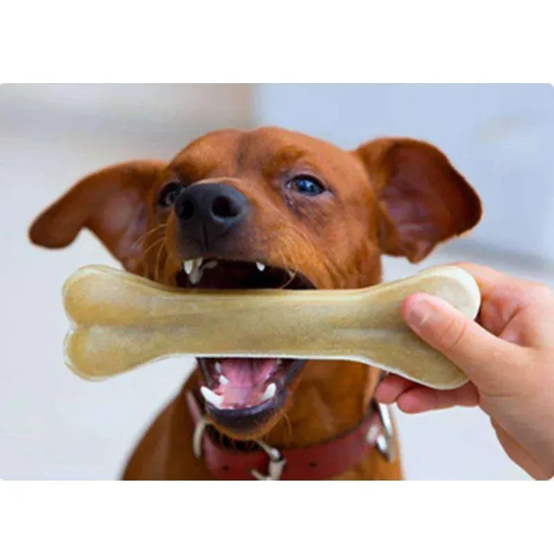 Durable Dog Chew Toys Cowhide Bones Dental Sticks Puppy Treats Supplies Cleaning Teeth Healthy Snacks for Small Medium Large Dog