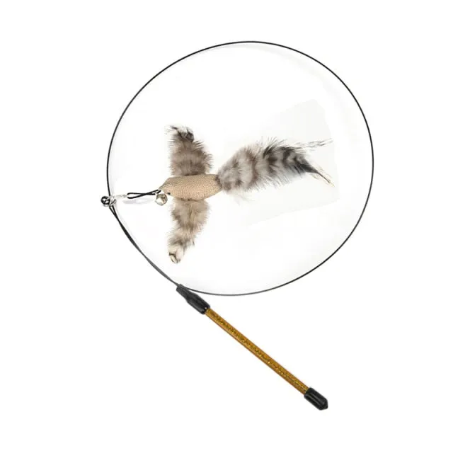 Fun Simulation Bird interactive Cat Toy