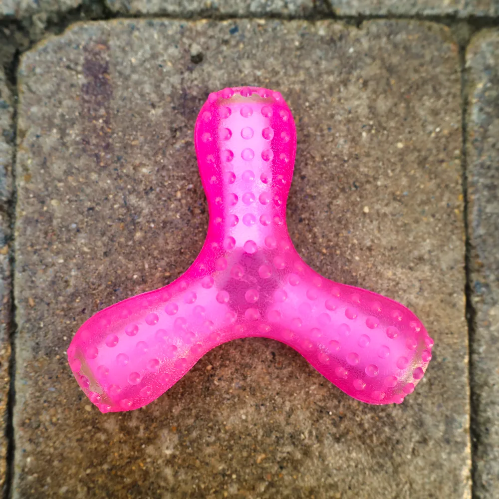 Giggling Wish Bone Chew Toy