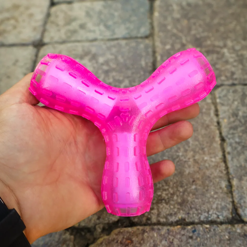 Giggling Wish Bone Chew Toy