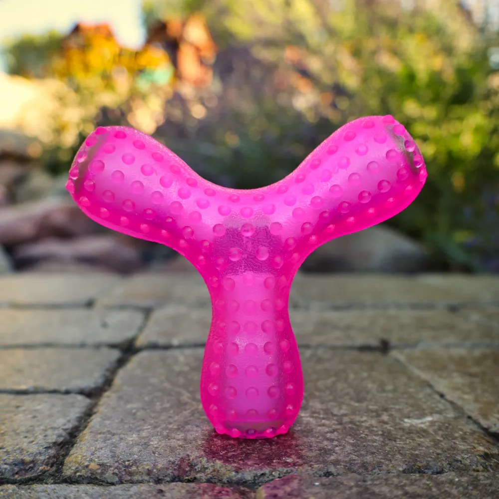 Giggling Wish Bone Chew Toy