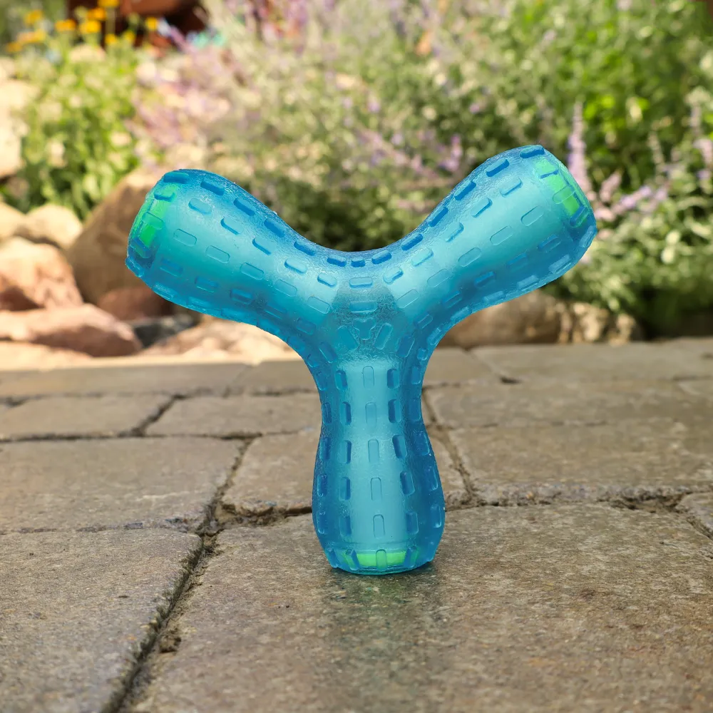 Giggling Wish Bone Chew Toy