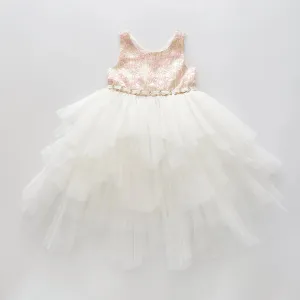 Girls' Pink and Gold Tulle Party Dress