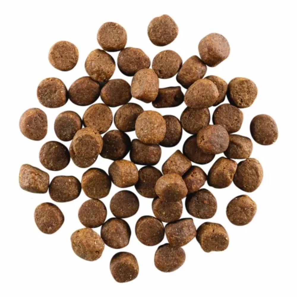 Go! Solutions Carnivore Grain Free Chicken, Turkey   Duck Adult Recipe Dry Dog Food 3.5lb (Exp Dec 2024)