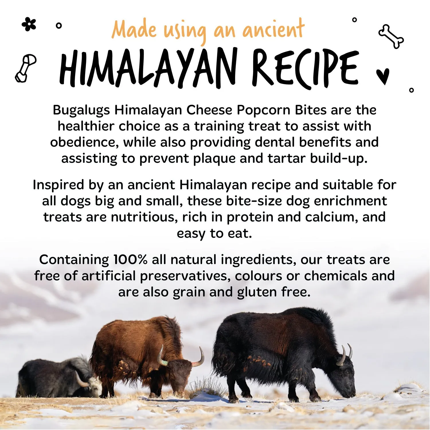 Handmade Himalayan Cheese Bones 100% Natural Treat for Dogs (LARGE)