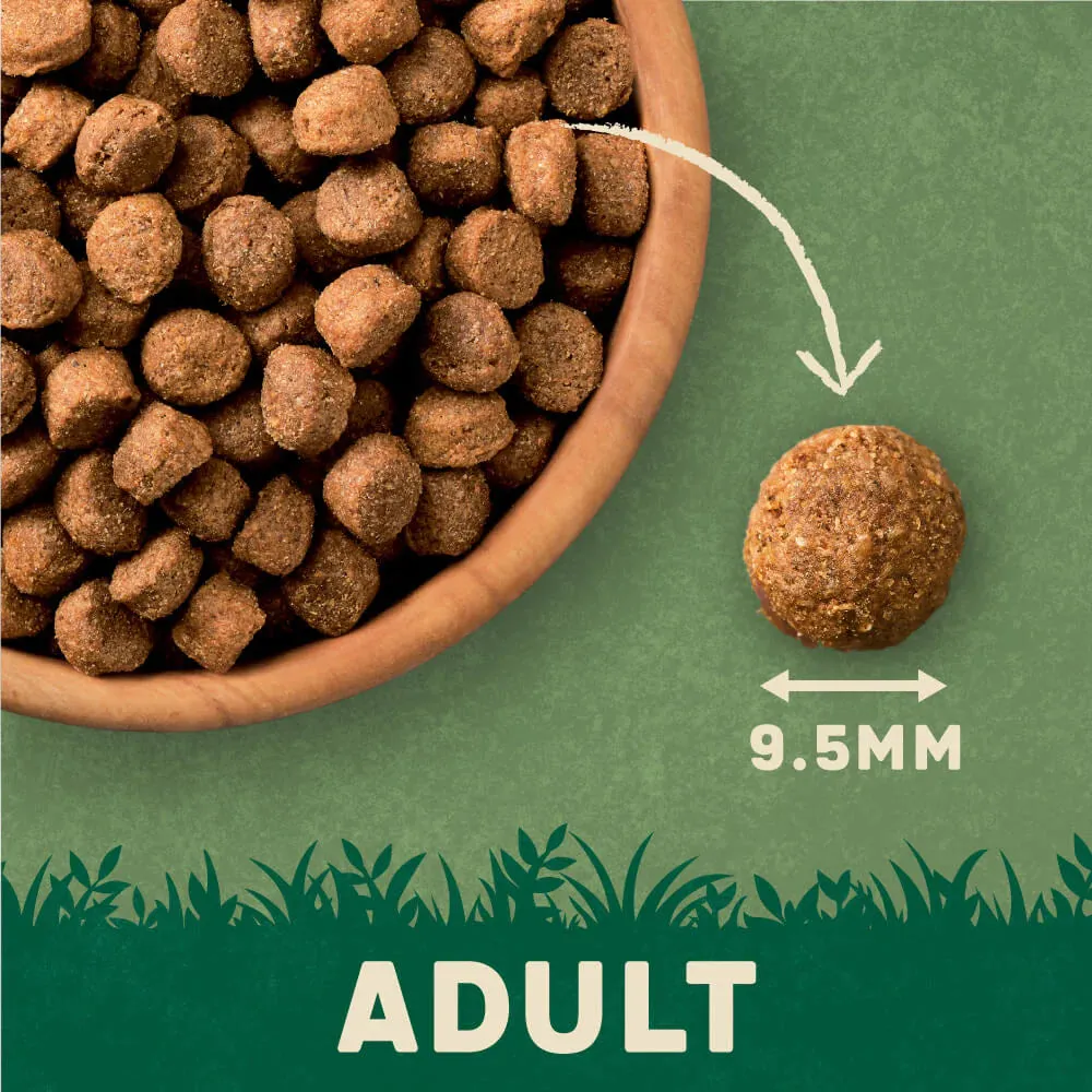 Harringtons Dog Beef & Veg Complete Dry Adult Dog Food