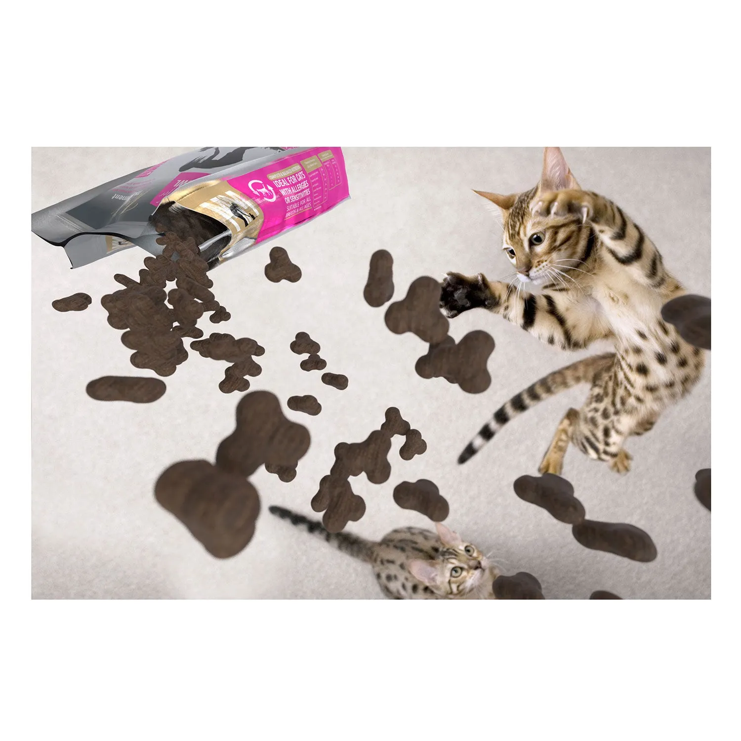 Meals for Meows Mackerel & Salmon Adult Dry Cat Food