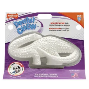 Nylabone Durable Dental Dinosaur