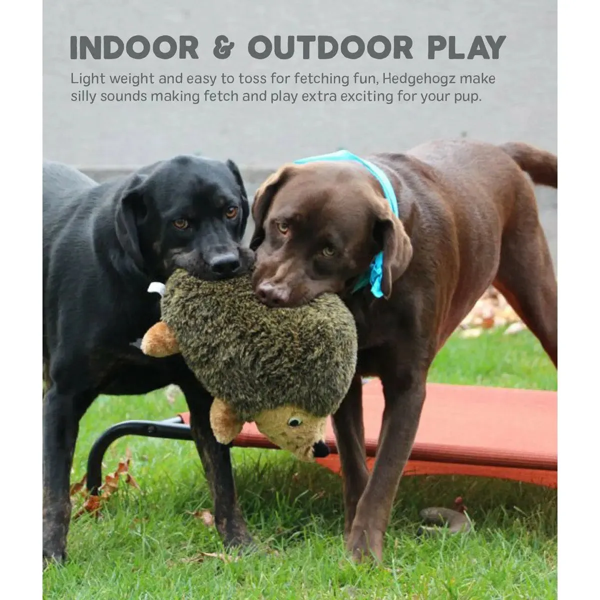 Outward Hound® Hedgehogz Dog Toys