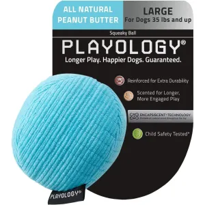 Playology Plush Squeaky Ball Dog Toy for Moderate Chewers, Large