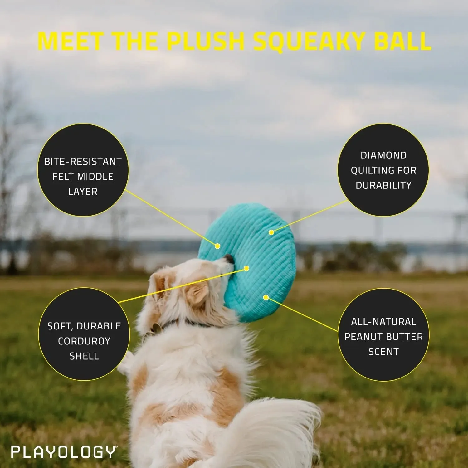Playology Plush Squeaky Ball Dog Toy for Moderate Chewers, Large