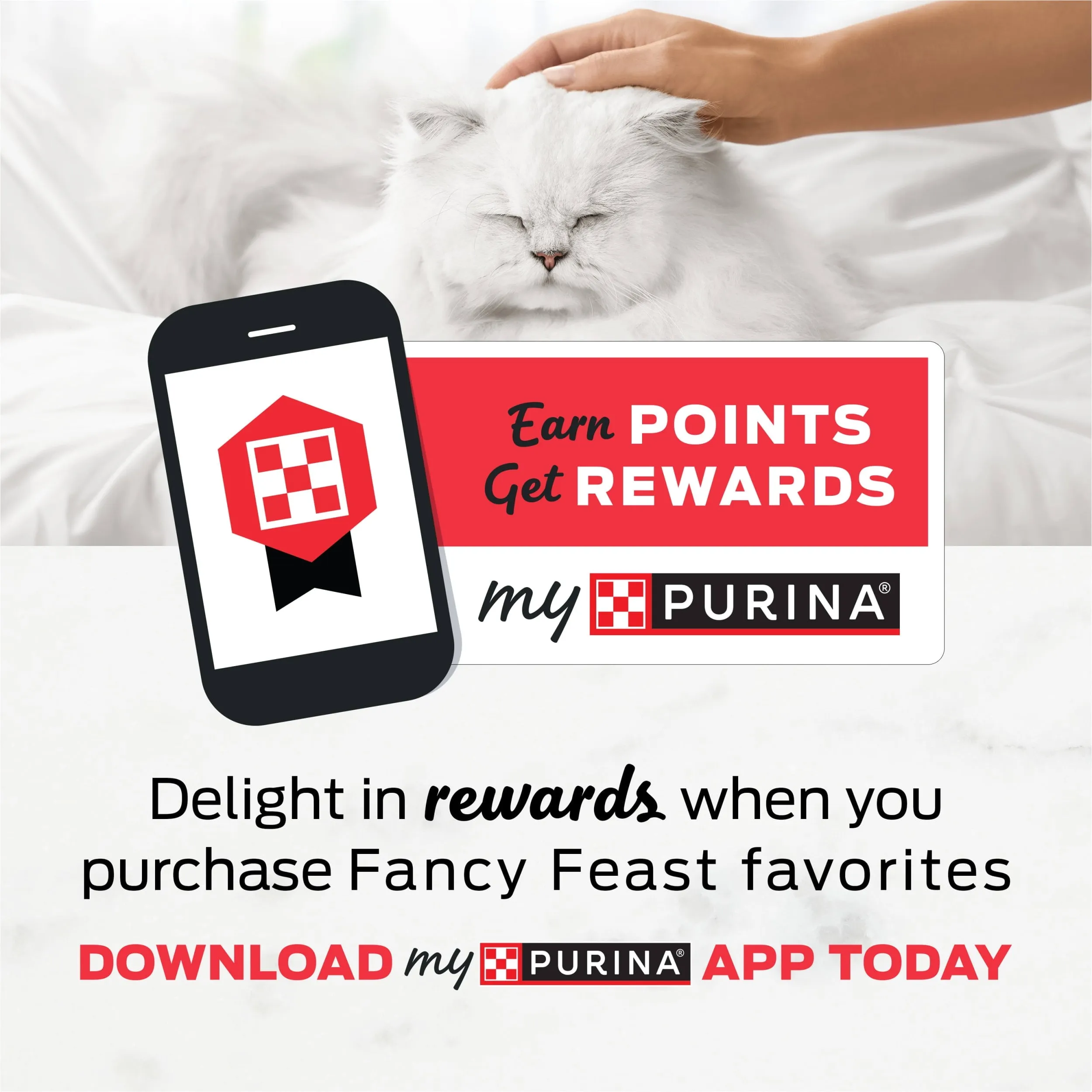 Purina Fancy Feast Dry Cat Food Filet Mignon Flavor with Seafood and Shrimp, 3 lb. Bag