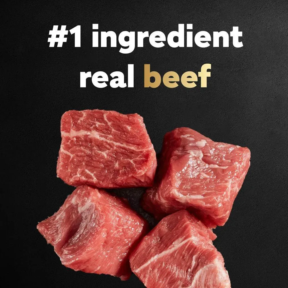 Small Breed Filet Mignon Flavor Dog Food 5 Lb