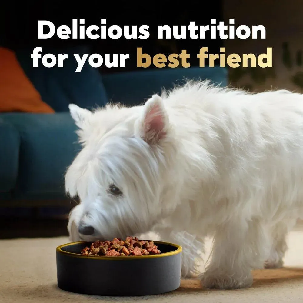 Small Breed Filet Mignon Flavor Dog Food 5 Lb