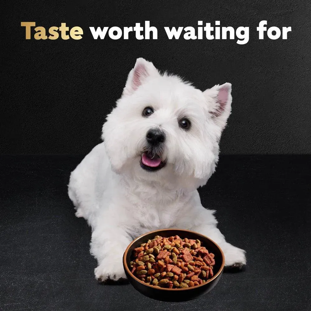 Small Breed Filet Mignon Flavor Dog Food 5 Lb