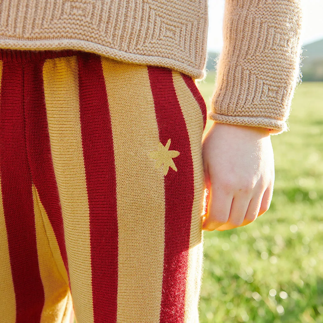 Stripe Trousers Red