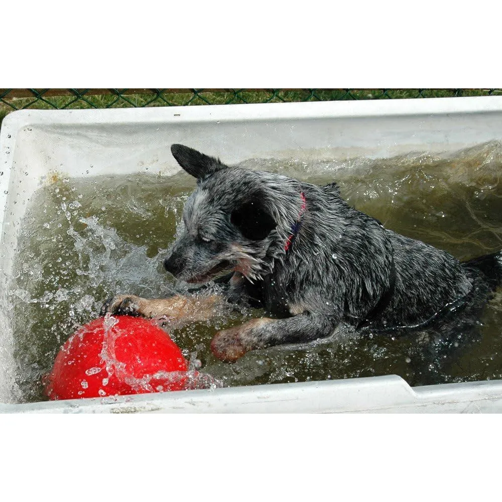 The Company of Animals Dog Boomer Ball, Small, Assorted Color