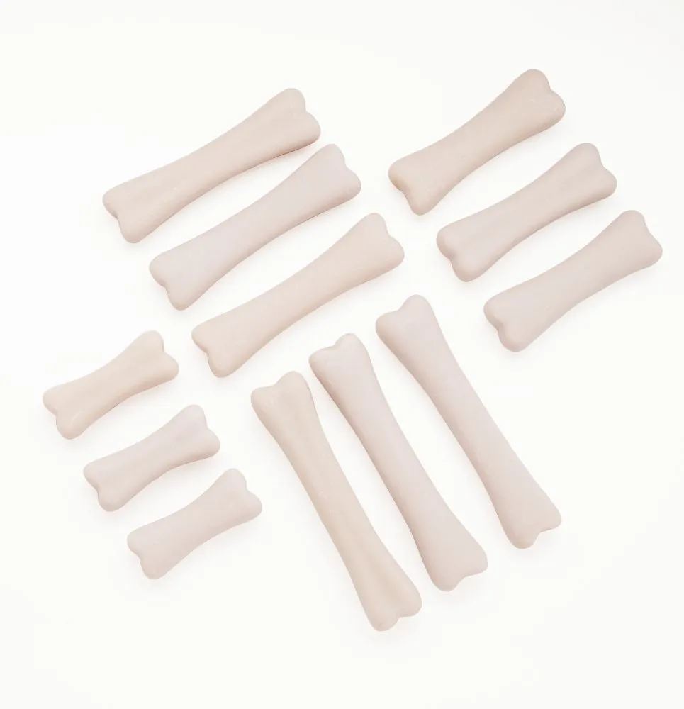 Yellow Door Dinosaur Bones Discovery Set