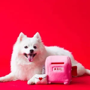 ZippyPaws Burrow Mailbox & Love Letters Dog Toy